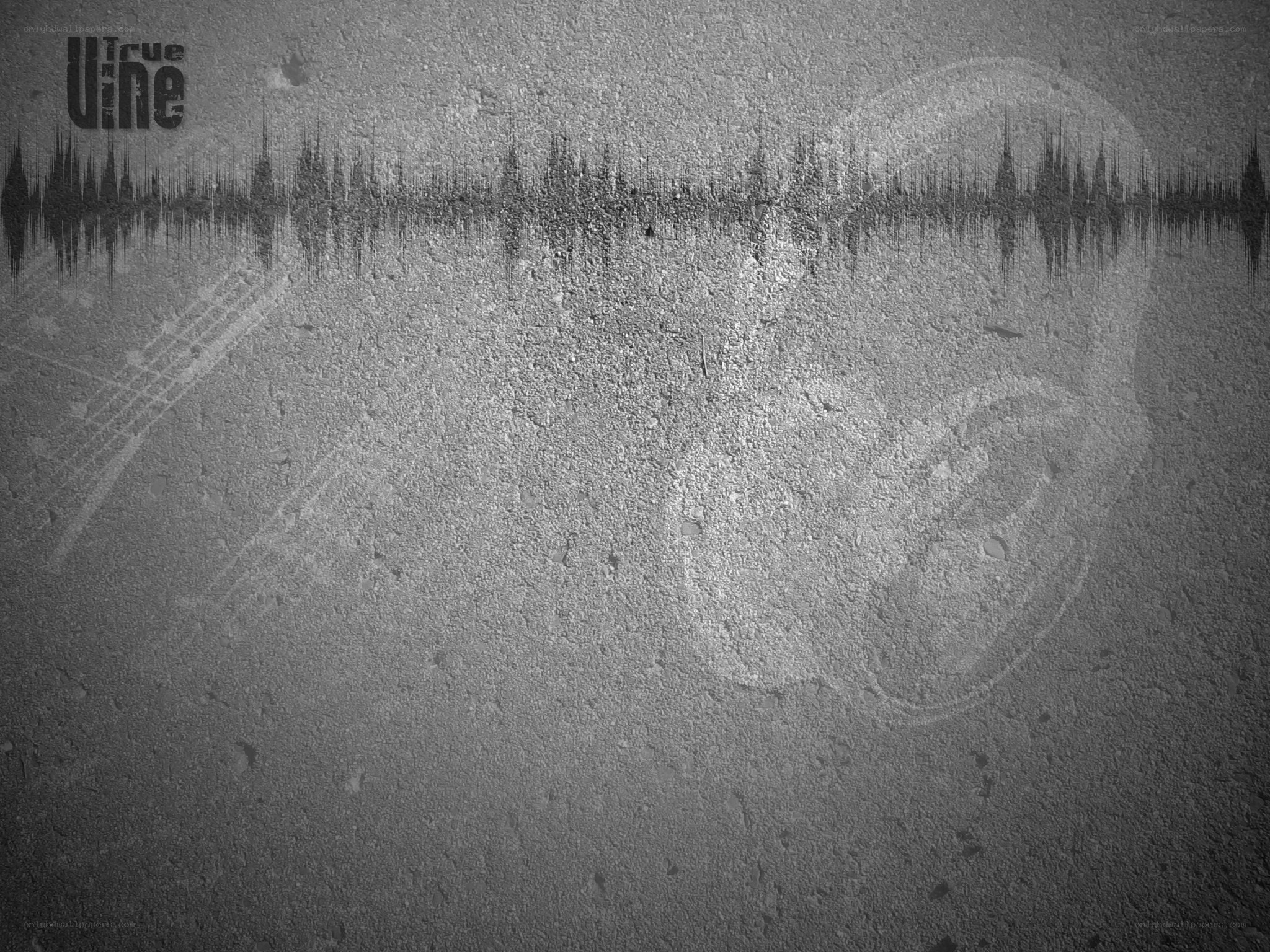 grayscale audio waveform background