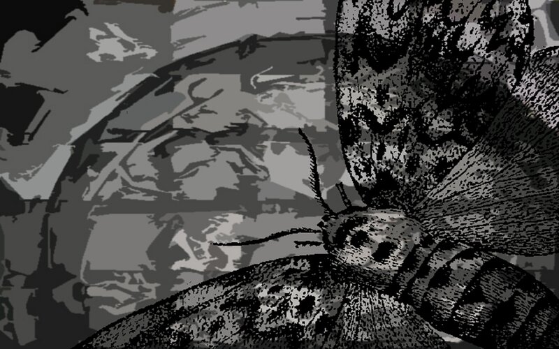 grayscale moth illustration