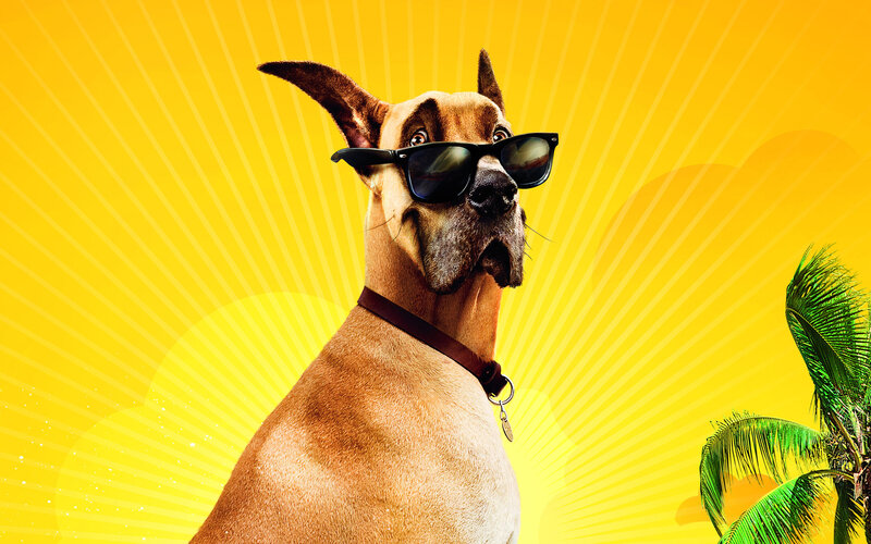 Great Dane Dog — Yellow