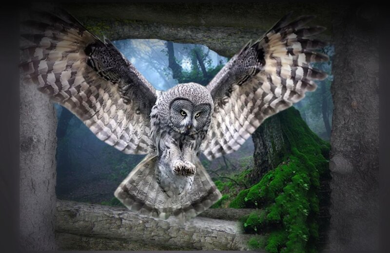 Great Grey Owl in Flight — Dramatic, Night, Digital Art
