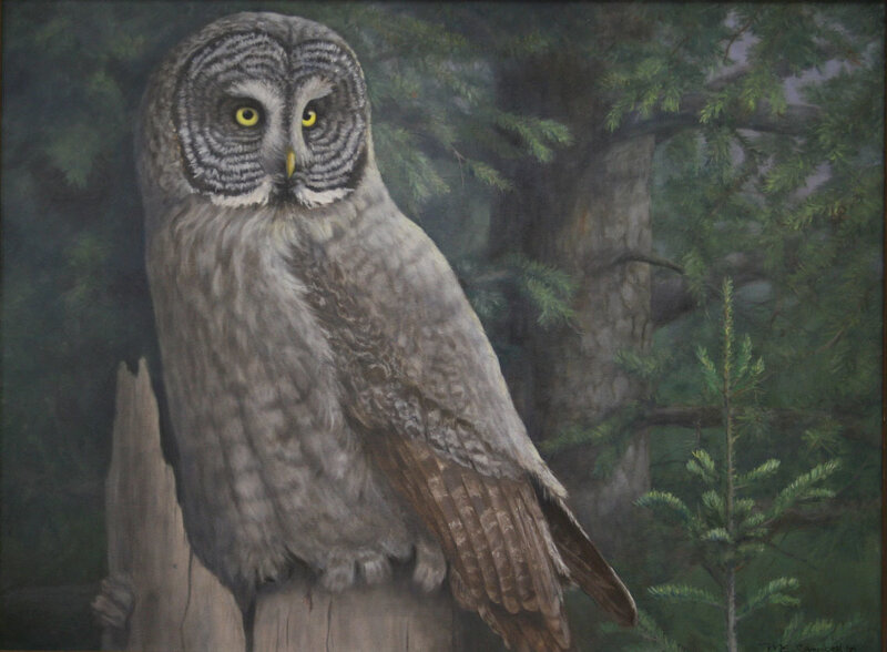 Great grey owl in forest