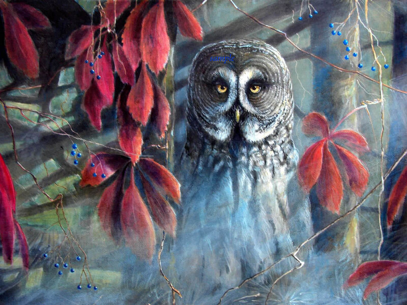 Great Grey Owl