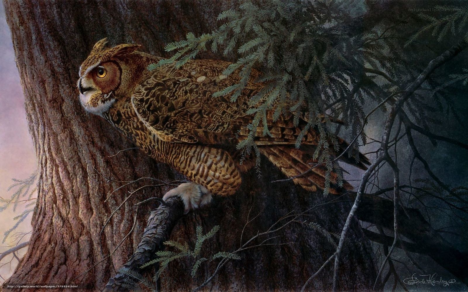 Great horned owl in tree