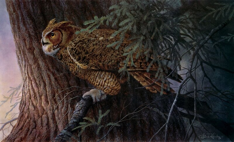 Great Horned Owl on Tree — Brown