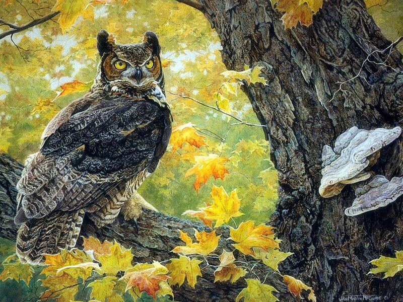 Great Horned Owl — Yellow