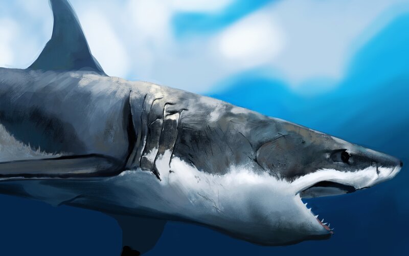 Great White Shark — Blue, Dramatic, Digital Art, Ocean