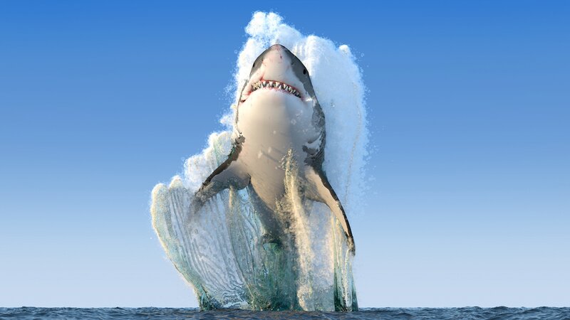 Great White Shark Breaching — Blue, Dramatic