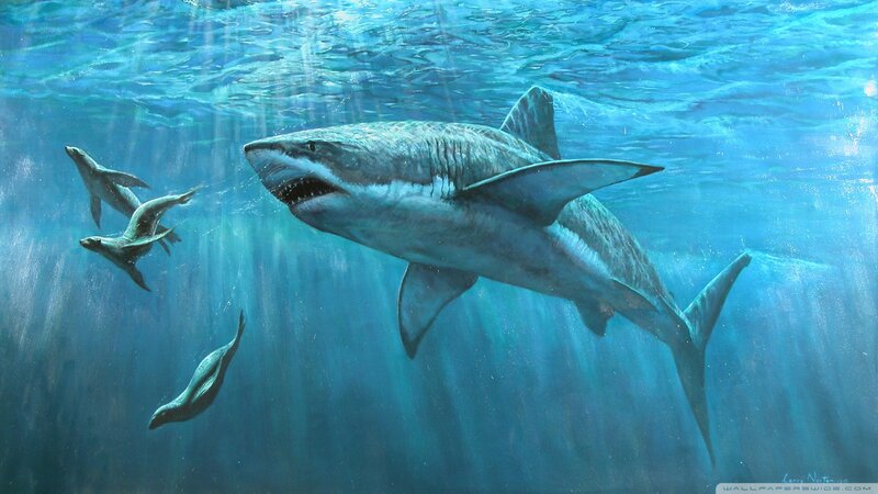 Great White Shark Hunting — Blue, Dramatic