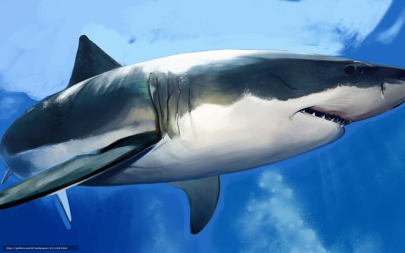 Great White Shark Swimming — Blue, Dramatic, Digital Art, Ocean