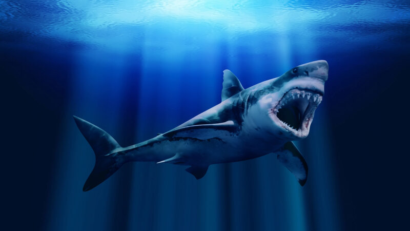 Great White Shark Swimming — Blue, Dramatic, Digital Art, Open Mouth