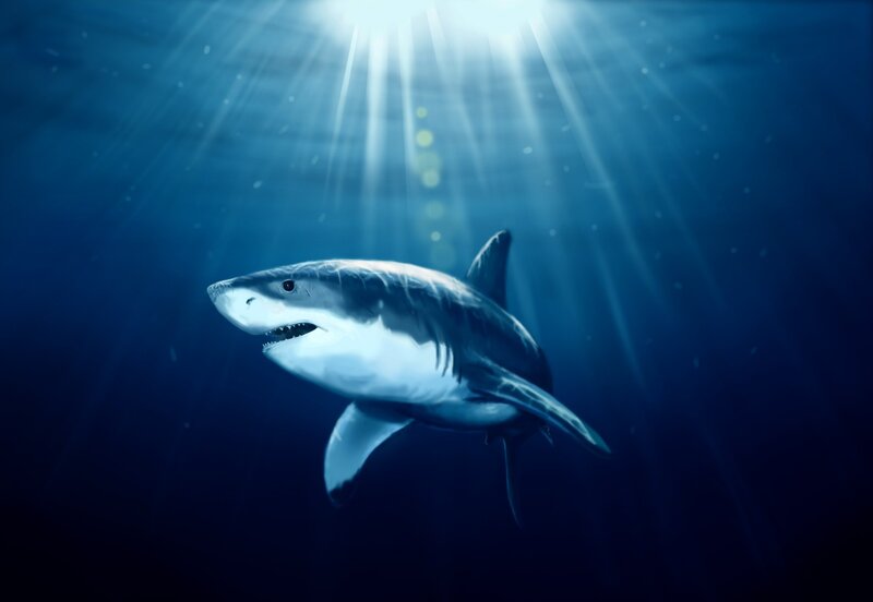 Great White Shark Swimming — Blue, Dramatic, Digital Art, Sunlight, Ocean