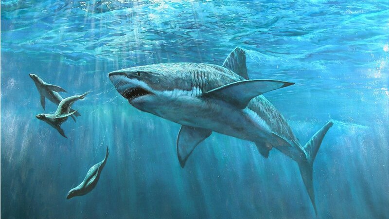 Great White Shark Swimming — Blue, Dramatic, Illustration