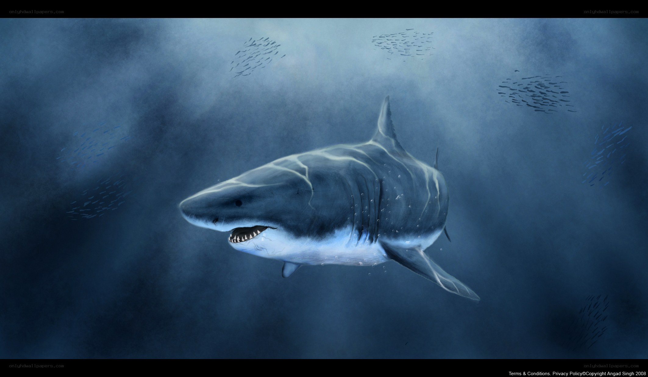 Great white shark underwater