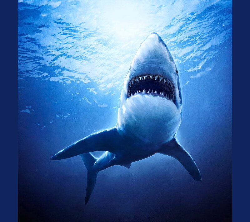 Great White Shark Underwater — Blue