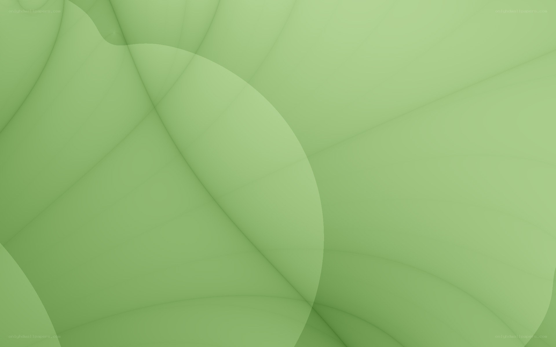 green abstract background
