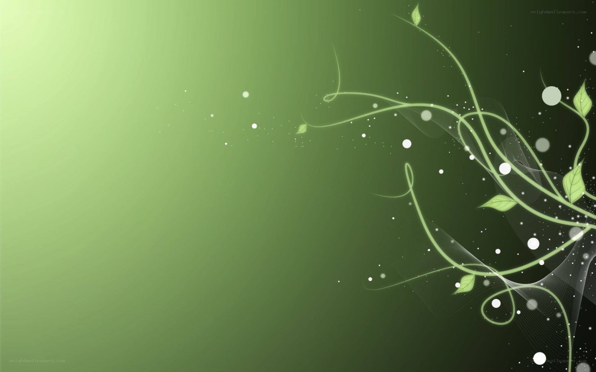 green abstract floral design