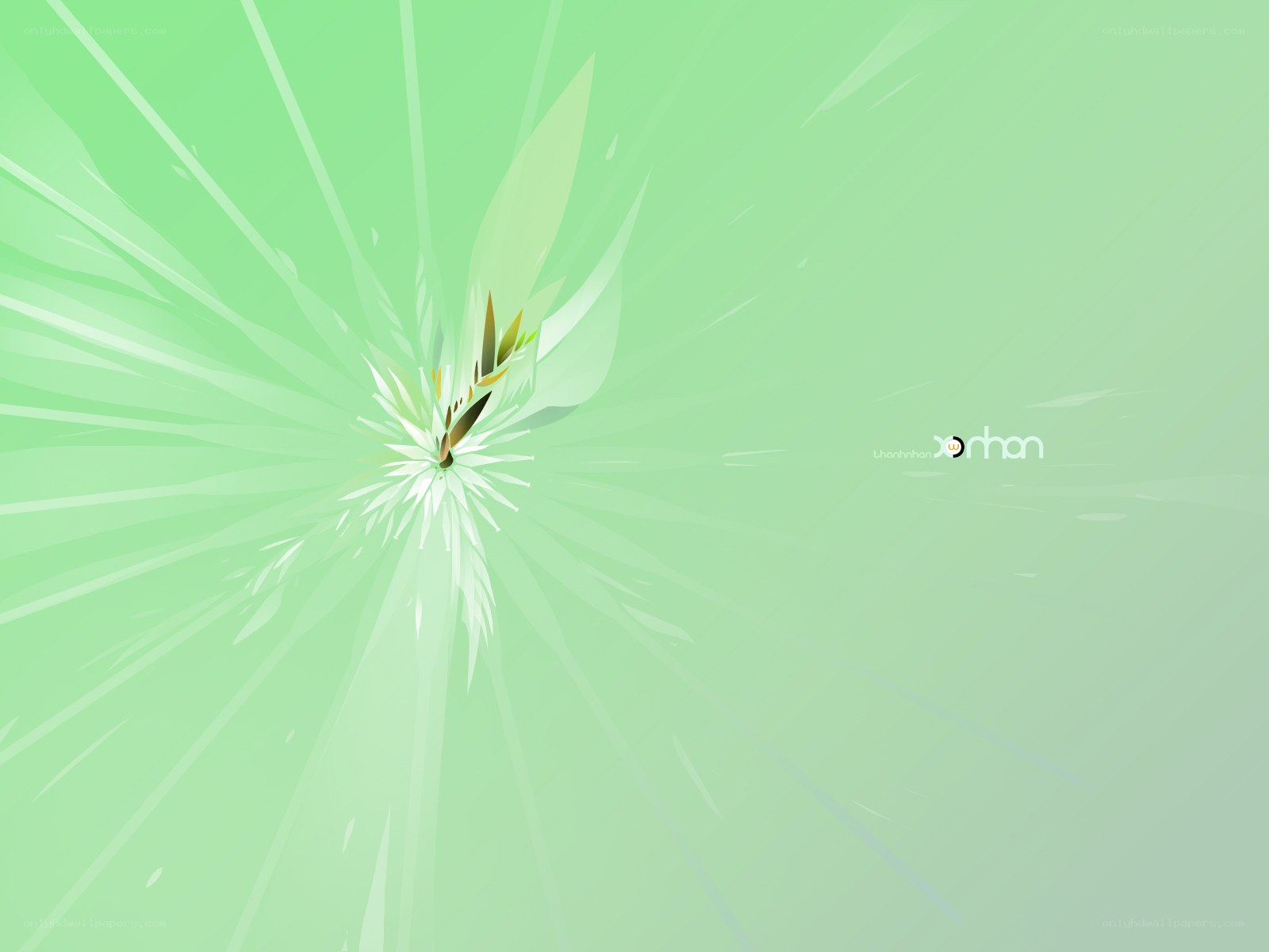green abstract flower design