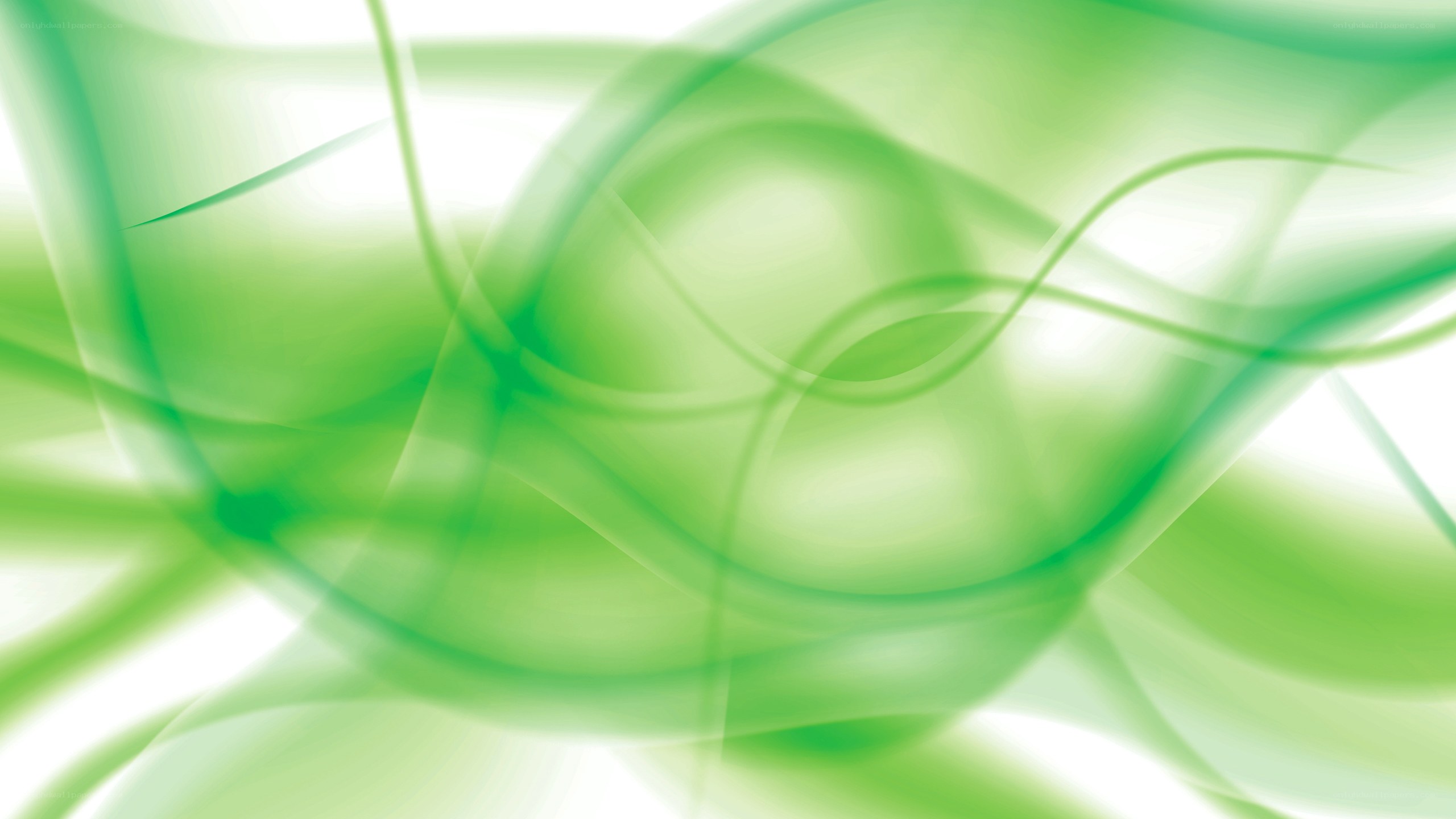 green abstract flowing lines