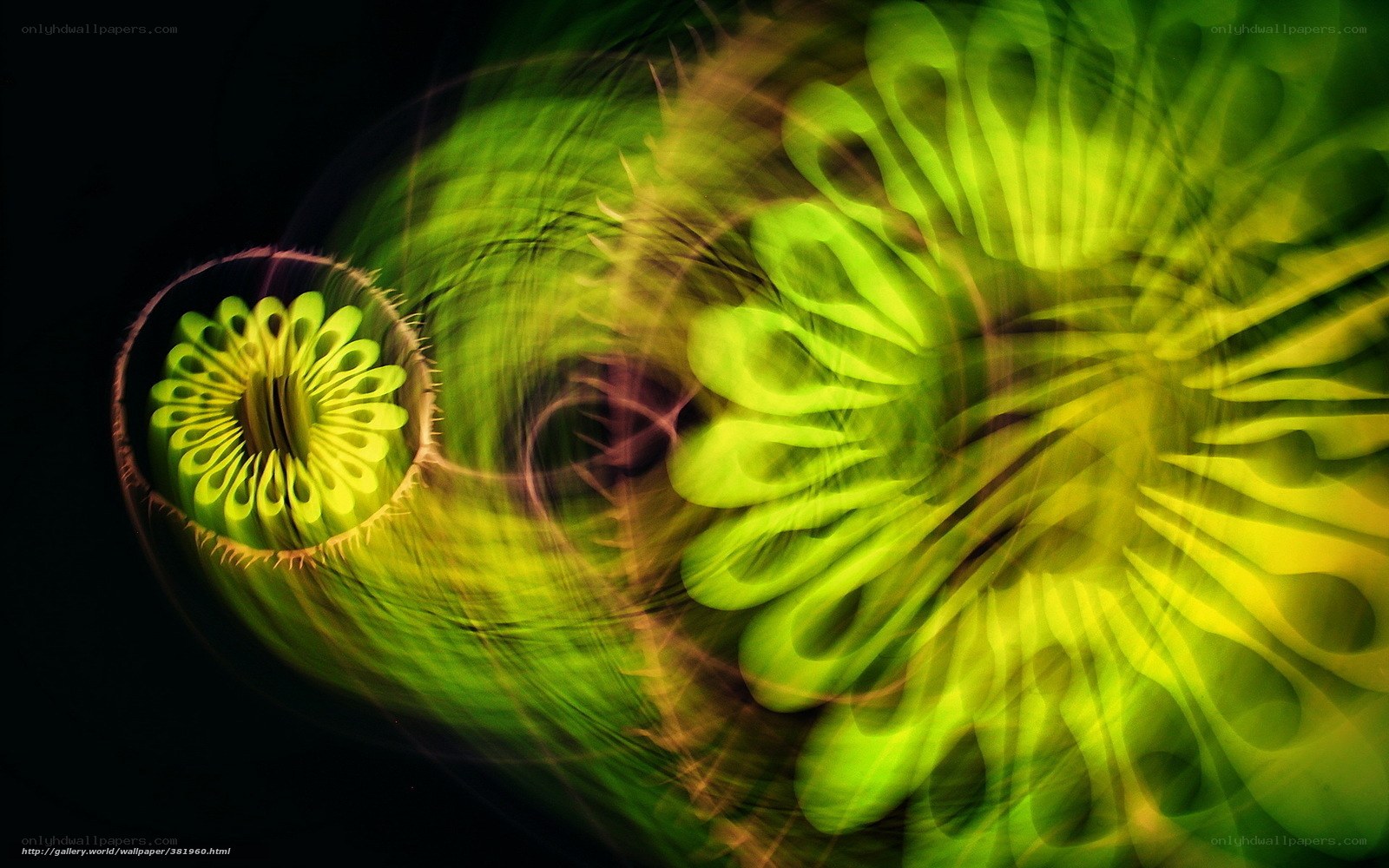 Green abstract light patterns