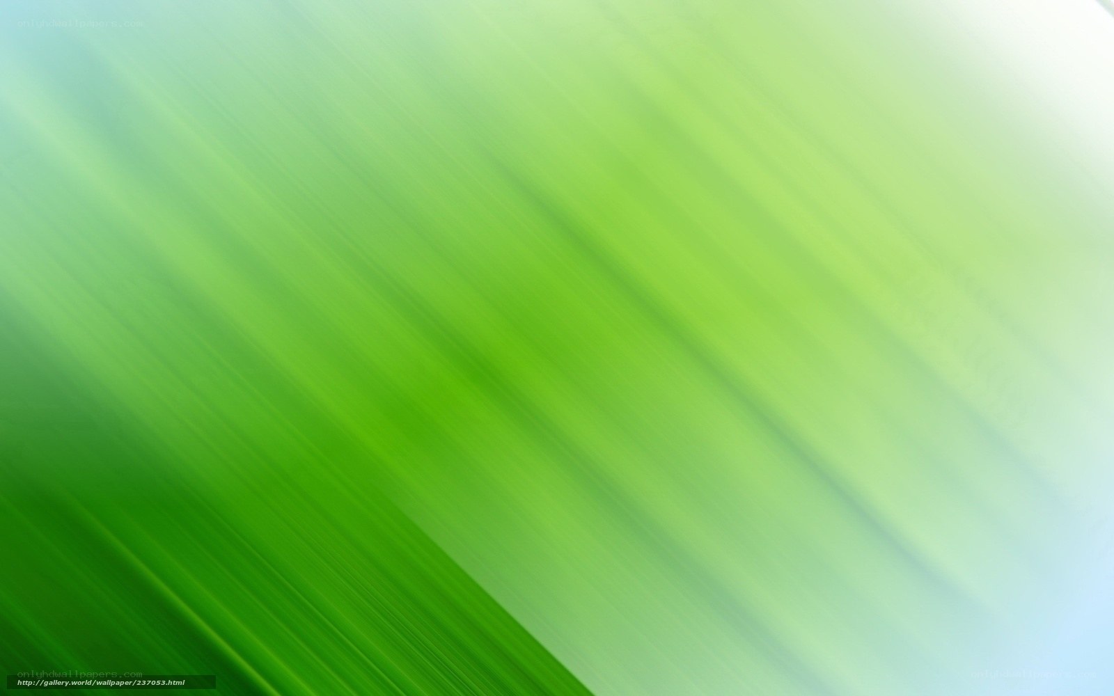 green abstract motion background