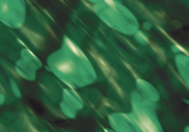 Green Abstract Pattern — Blurry