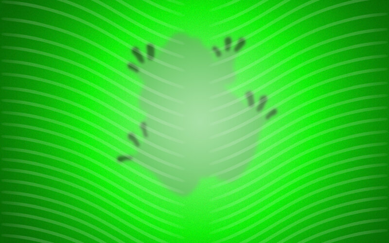green abstract pattern with shadow