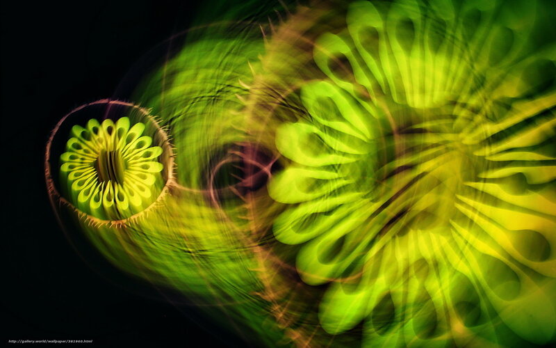Green Abstract Spiral