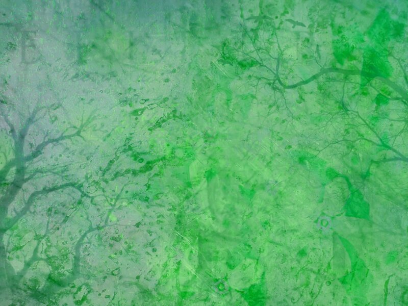 Green Abstract Texture — Calm