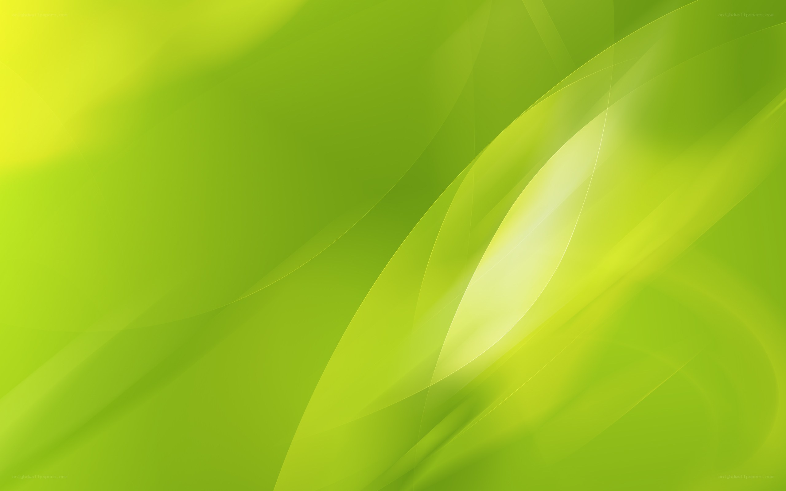 green abstract wave design