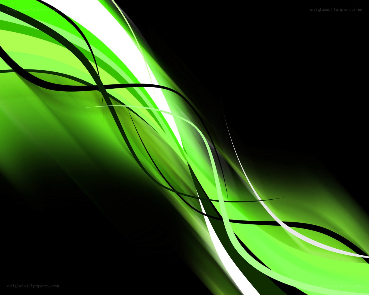 green abstract wave design