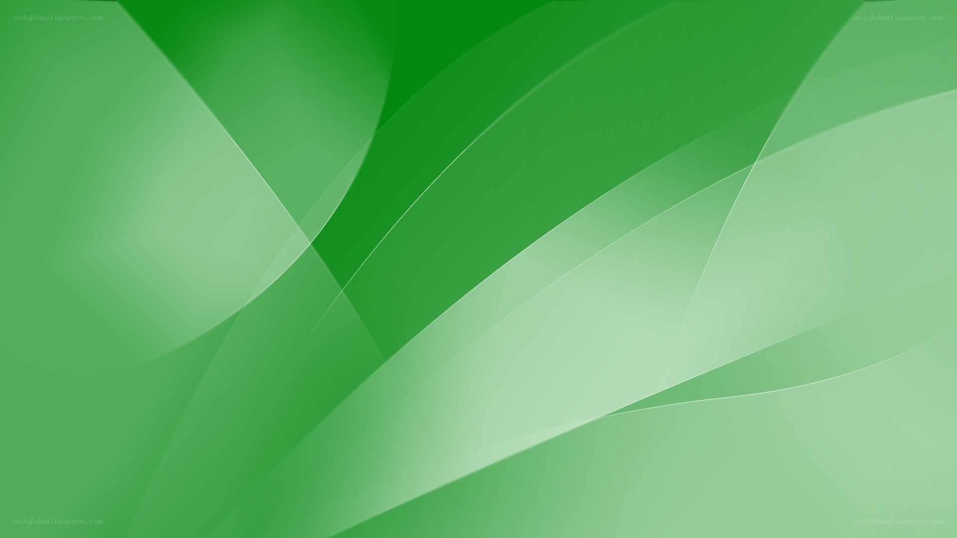 green abstract wave design