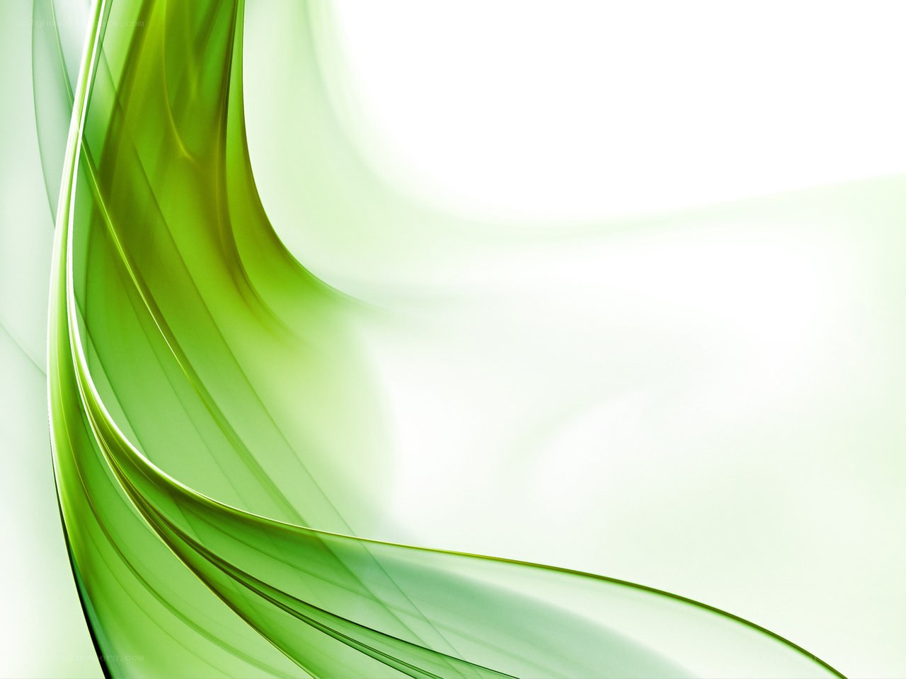 green abstract wave design