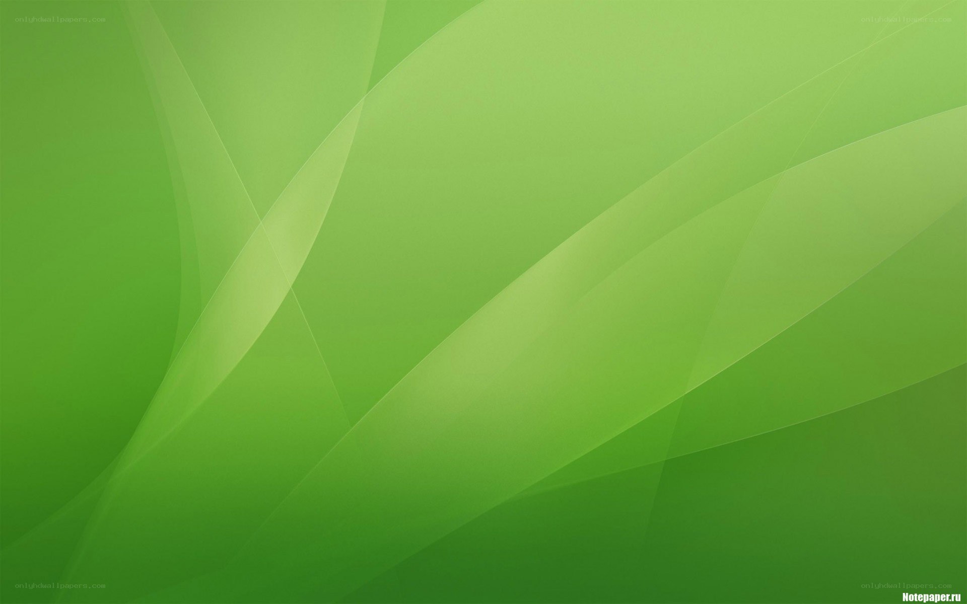 green abstract wave design