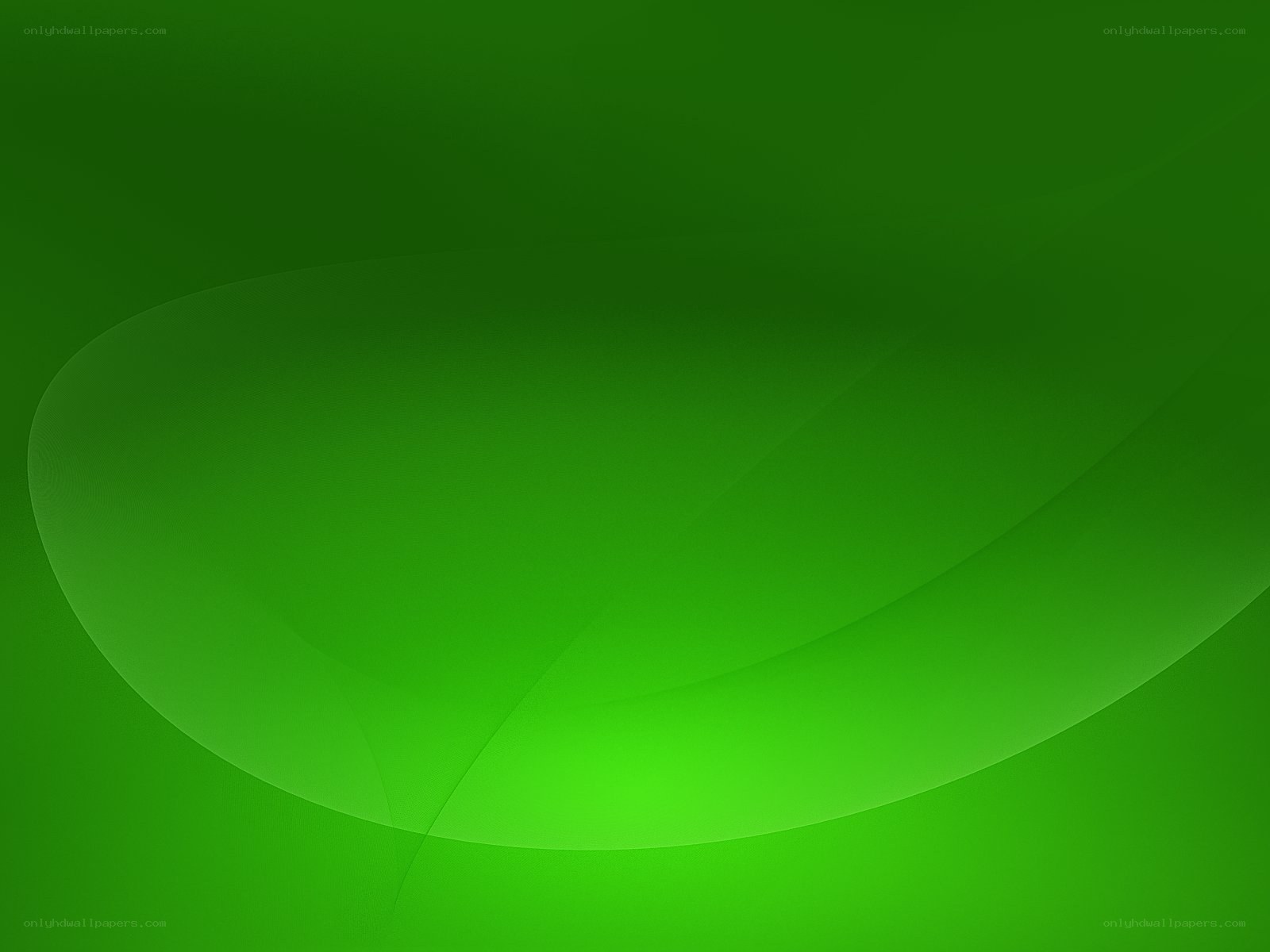 green abstract wave design