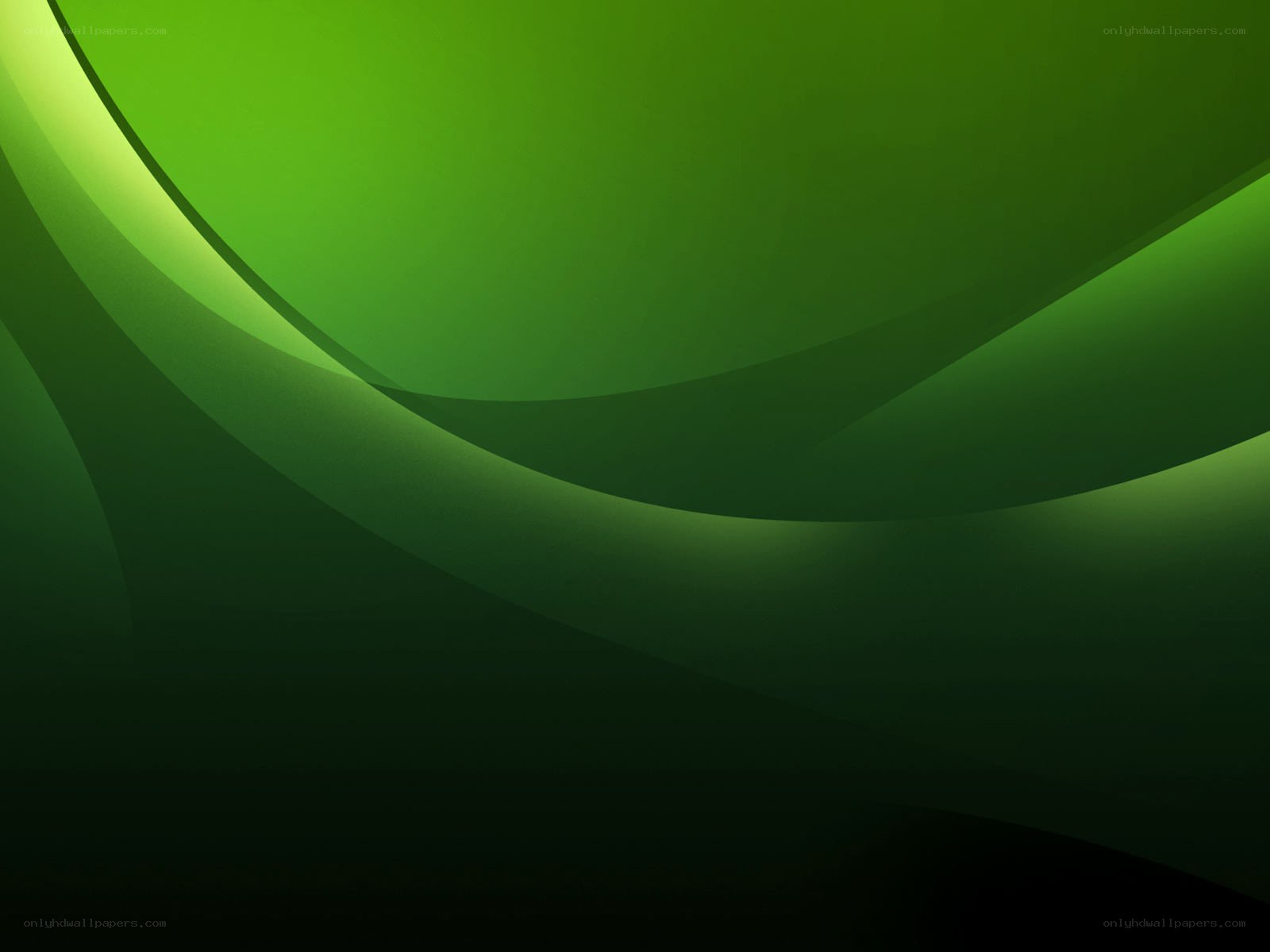 green abstract wave design