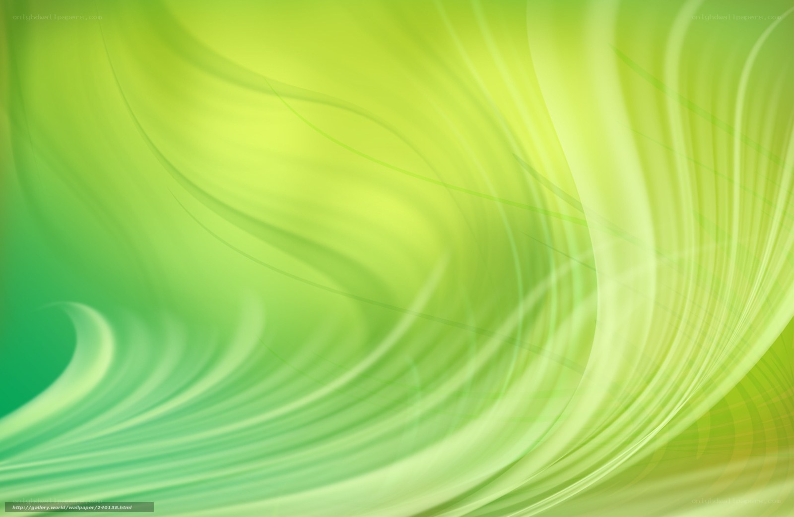 green abstract wave design