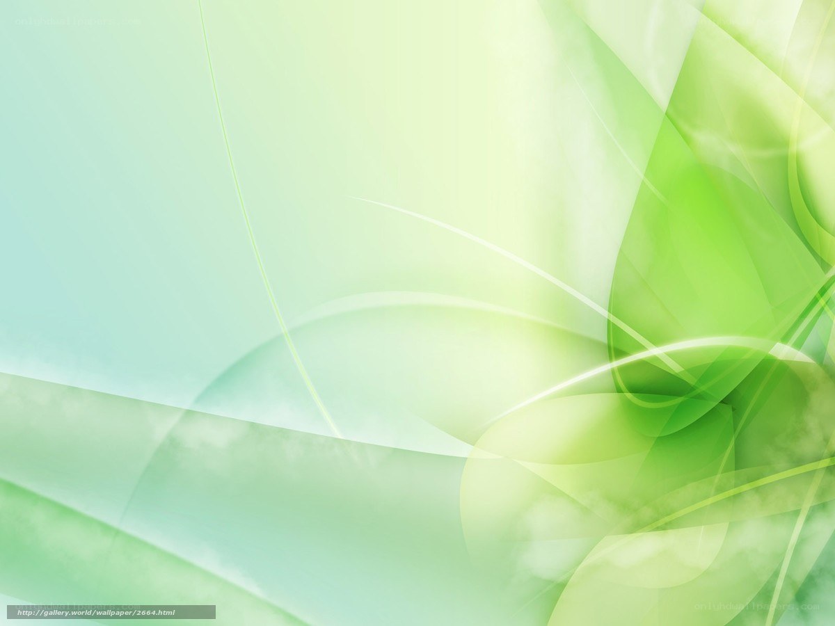 green abstract wave design