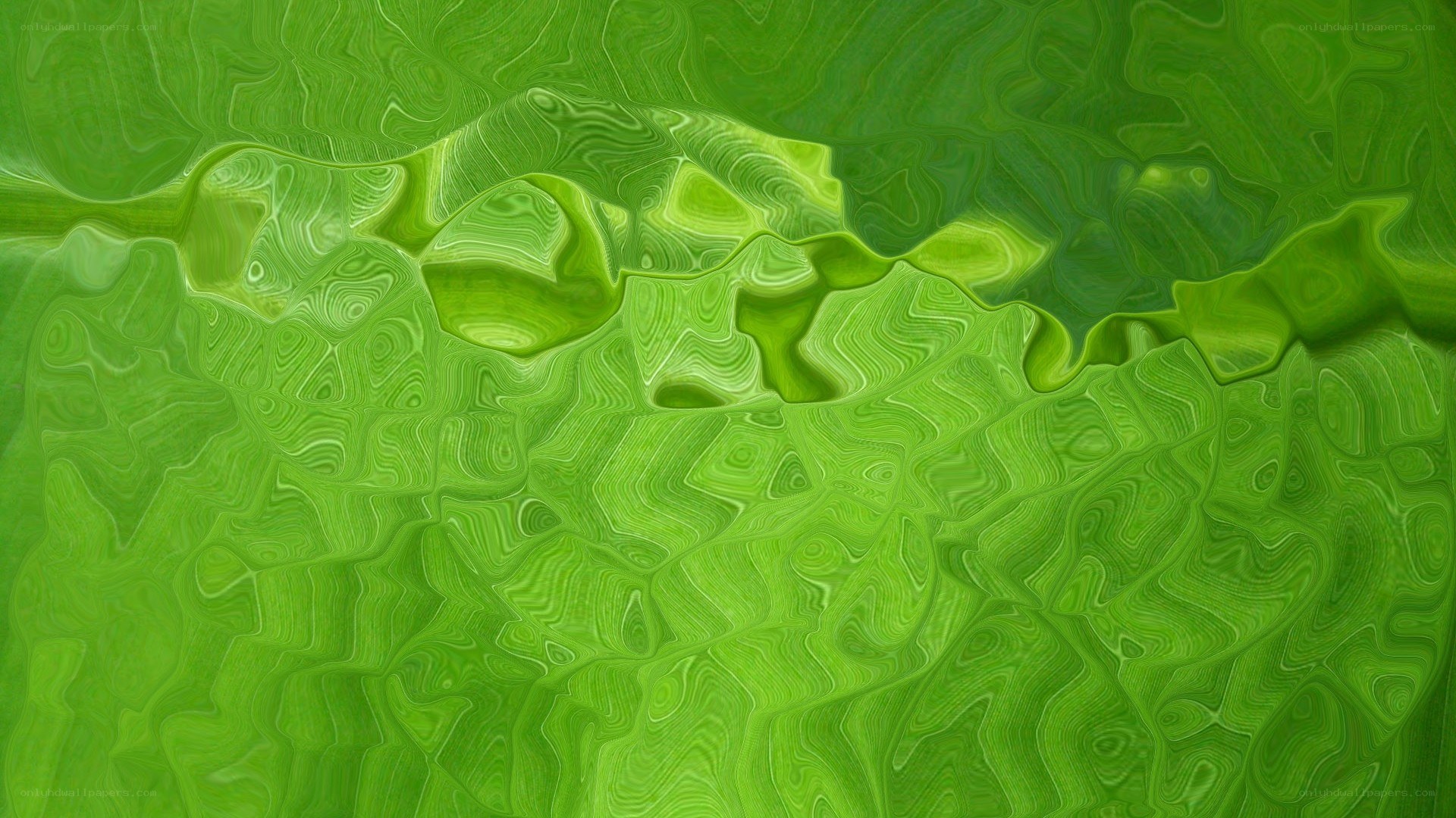 green abstract wavy pattern
