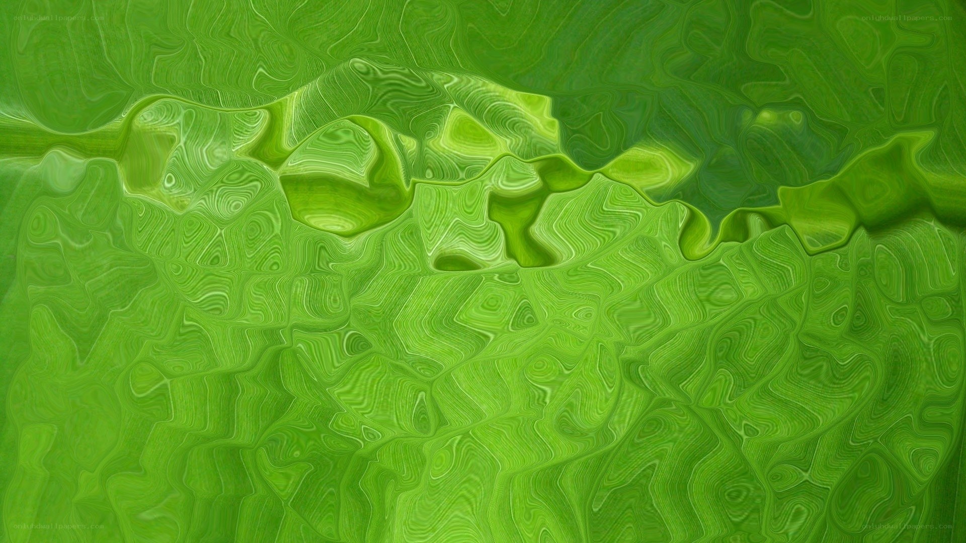 green abstract wavy pattern