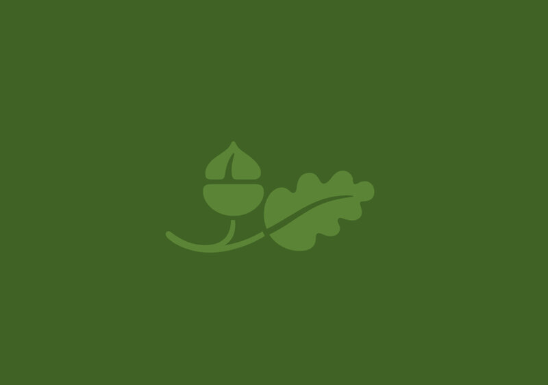 green acorn and leaf icon