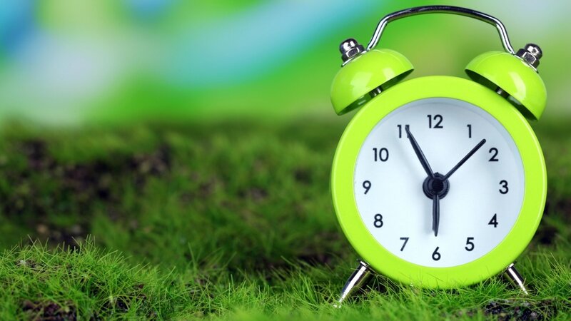 Green Alarm Clock on Grass