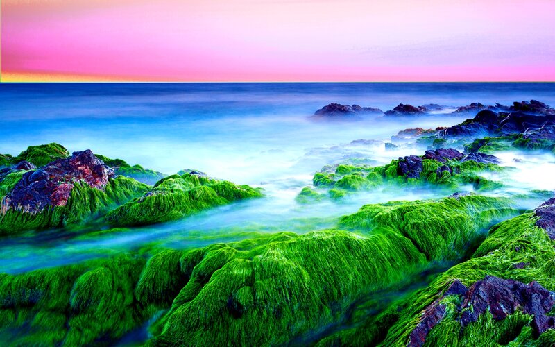 Green Algae-covered Rocks — Serene, Sunset, Photograph