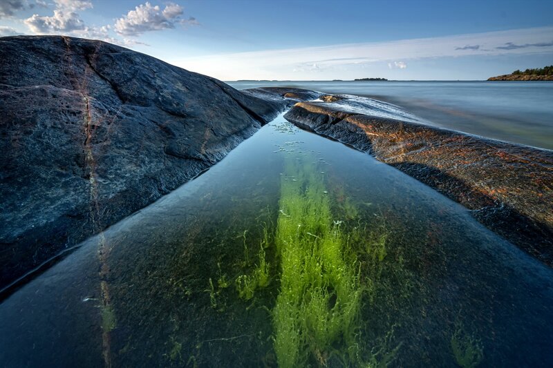 Green Algae in Rock Pool