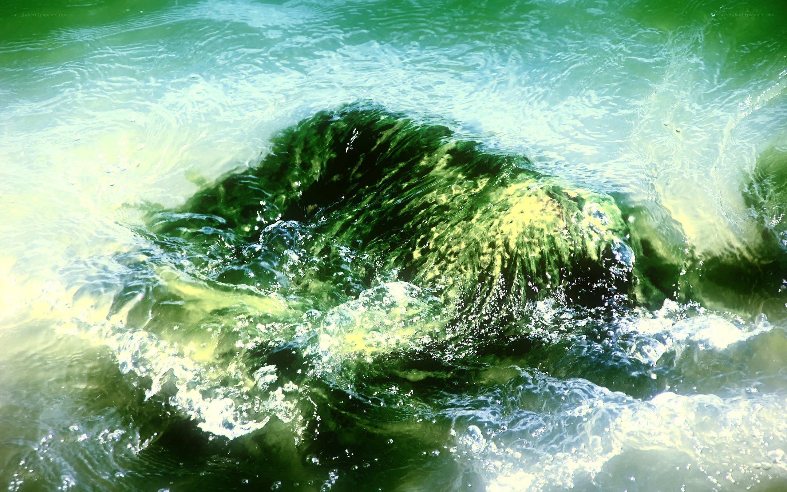 Green algae in turbulent water