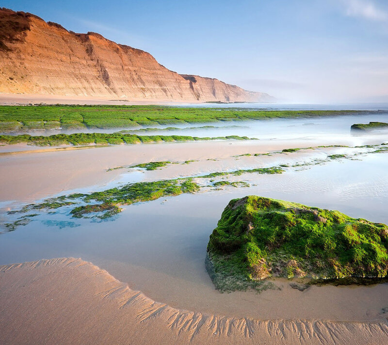 Green Algae on Beach — Serene