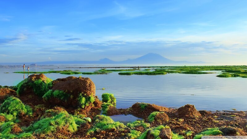 Green Algae on Rocks — Blue, Serene, Morning