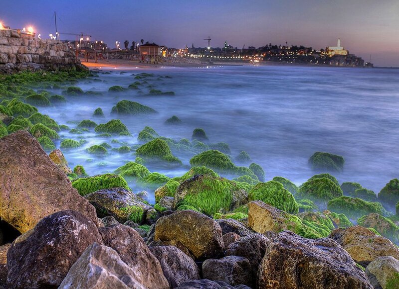 Green Algae on Rocks — Blue, Serene