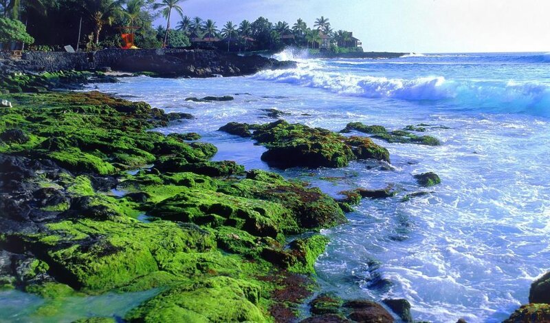 Green Algae on Rocks — Blue