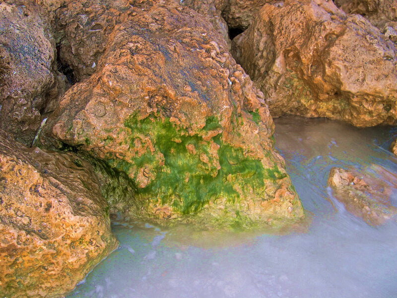 Green Algae on Rocks — Natural