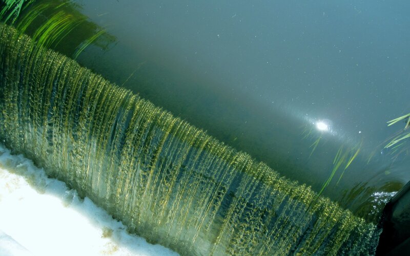 Green Algae Waterfall